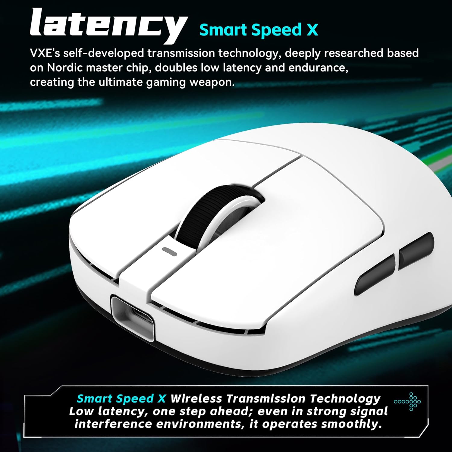VXE Dragonfly R1 S Gaming Mous - Esports Gaming Pcs 리뷰 및 가격